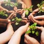 Merawat Bumi dengan Sunnah Nabi